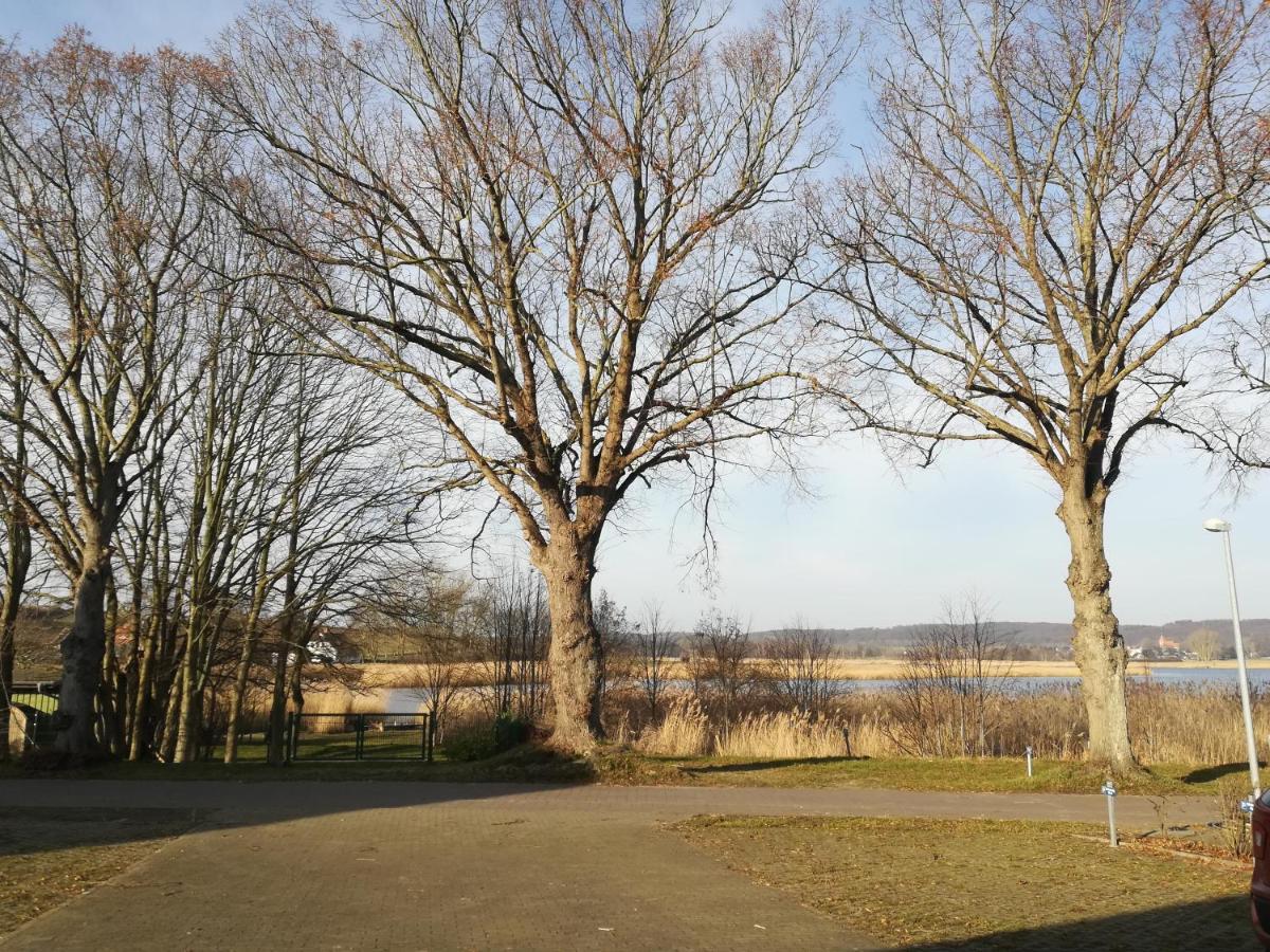 Sellin - Seedorf Am Neuensiener See Apartment 08 Buitenkant foto